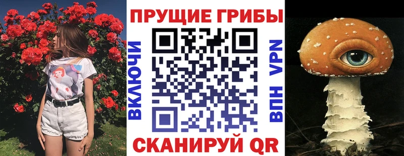 сайты даркнета наркотические препараты  Цивильск  Галлюциногенные грибы Cubensis  где продают наркотики 