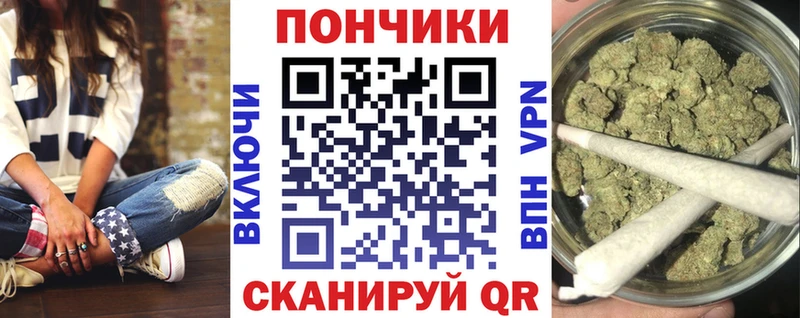 Бошки марихуана THC 21%  ОМГ ОМГ ONION  Цивильск  где купить  